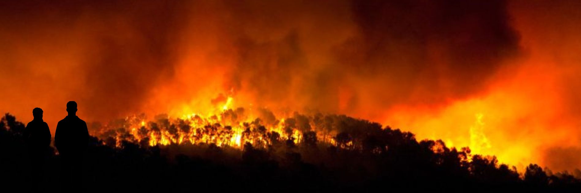Reportaje Resiliencia en la reconstrucción por fuego