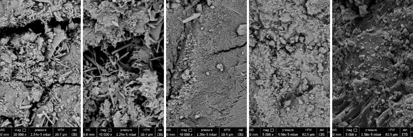Reportaje Biohormigón uso de bacterias ante ataque por sulfatos USACH
