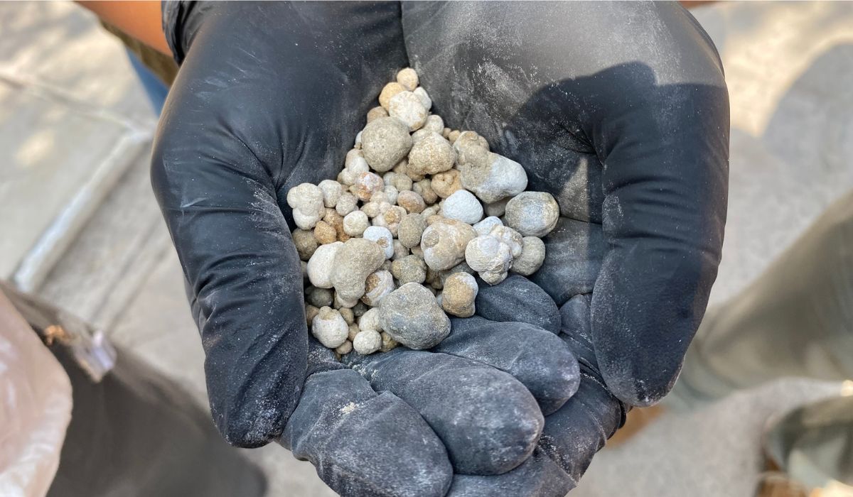 N Consejo Asesor 17 CIH UC aridos artificiales