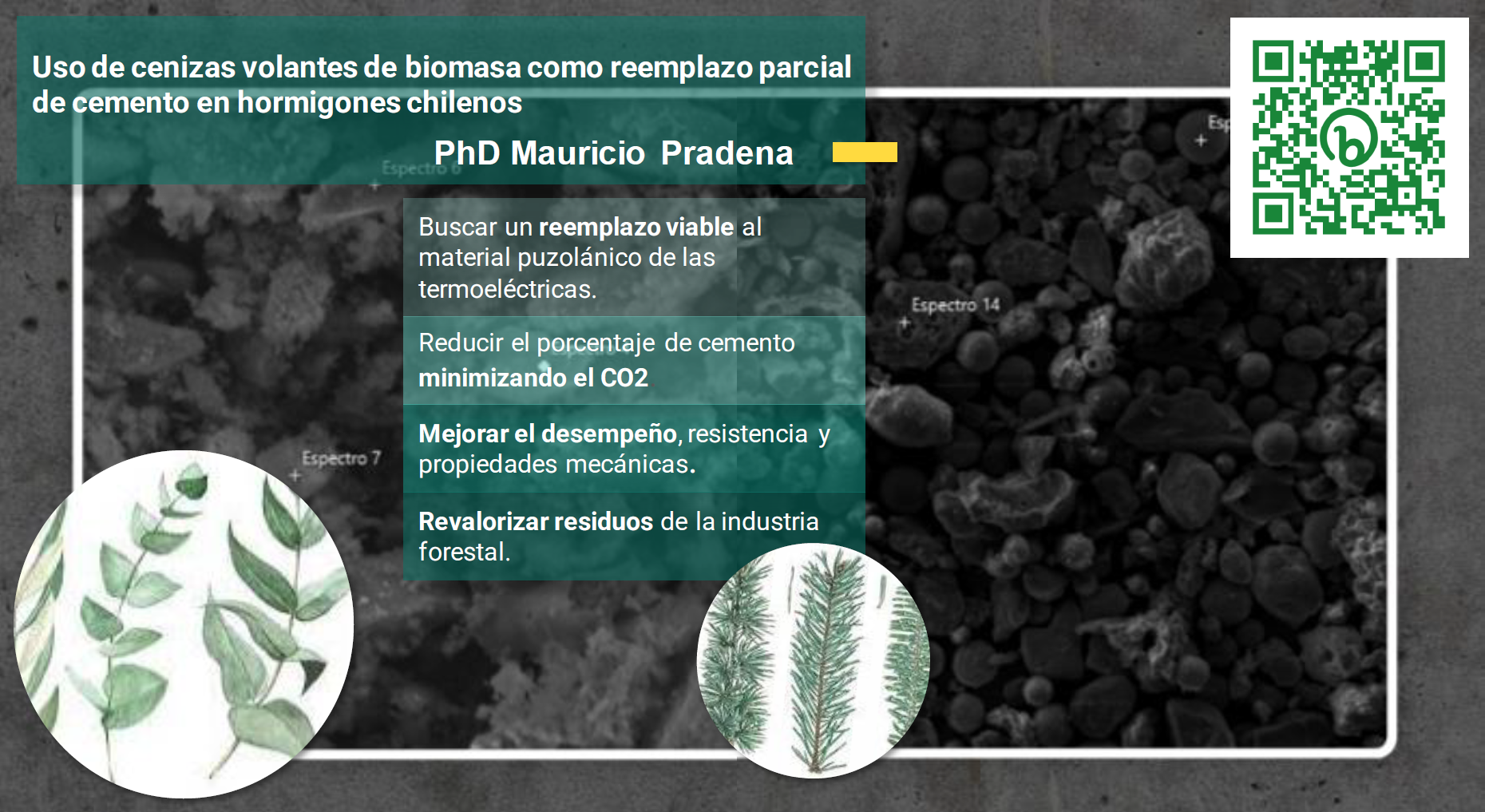 Proyecto cenizas de biomasa