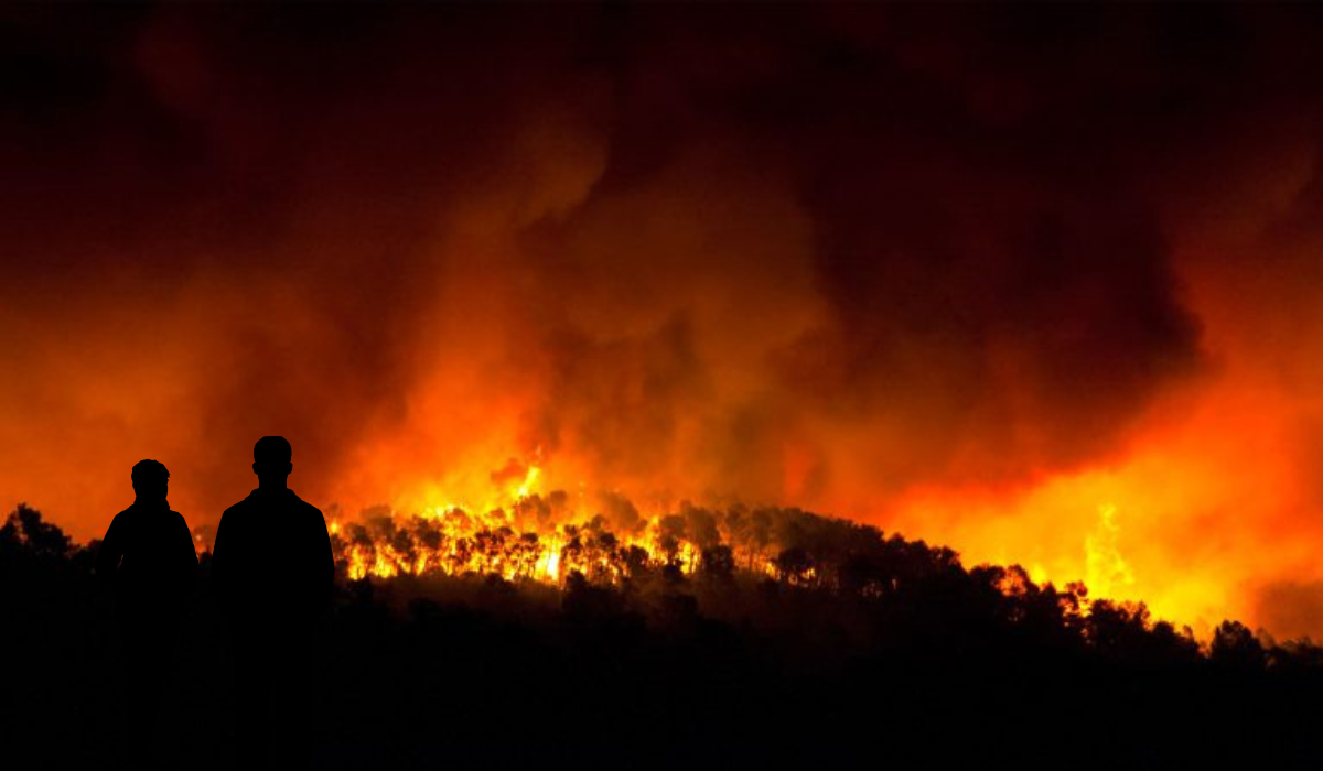 R Resiliencia Hormigon Fuego